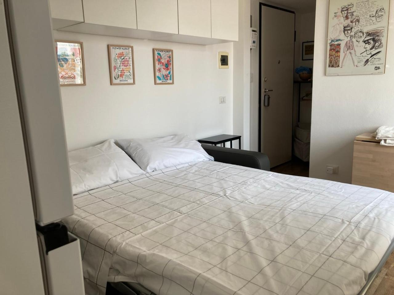 Monolocale Con Ampio Terrazzo *